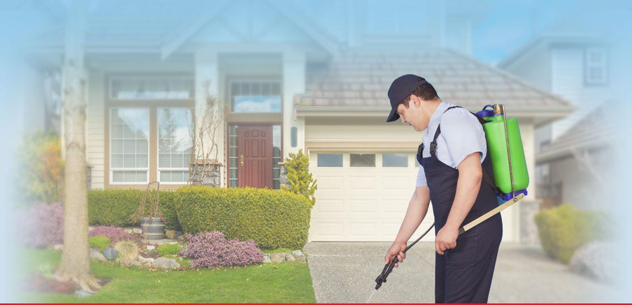Pest Control Services Provider In Indore At Home