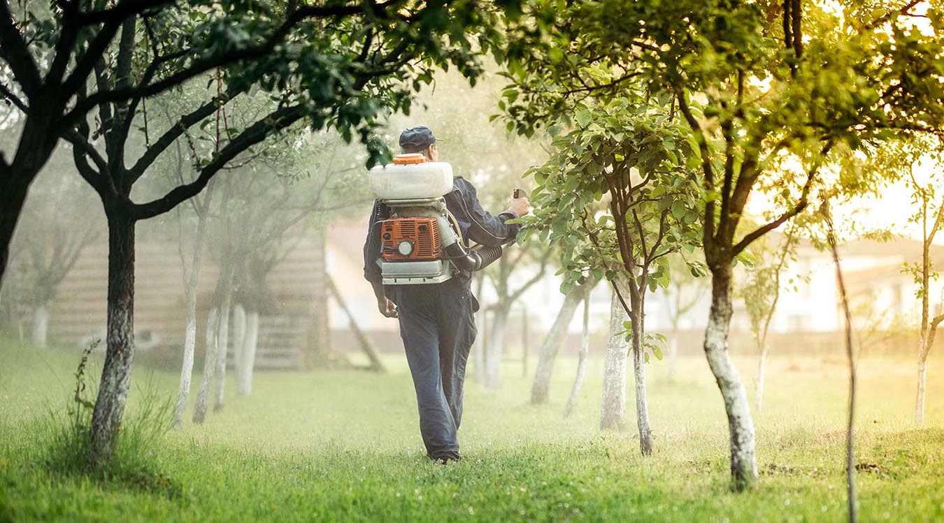 Pest Control Services Provider In Indore At Home