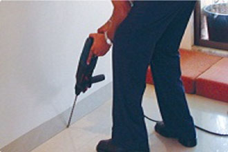 Pest Control Services Provider In Indore At Home
