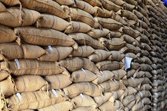 Pest Control Services Provider In Indore At Home