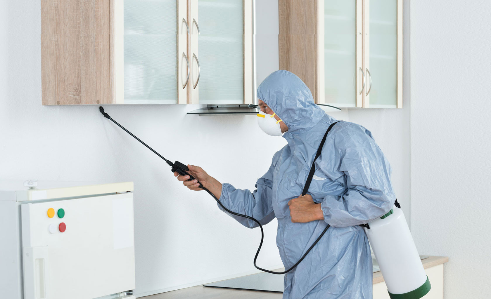 Pest Control Services Provider In Indore At Home